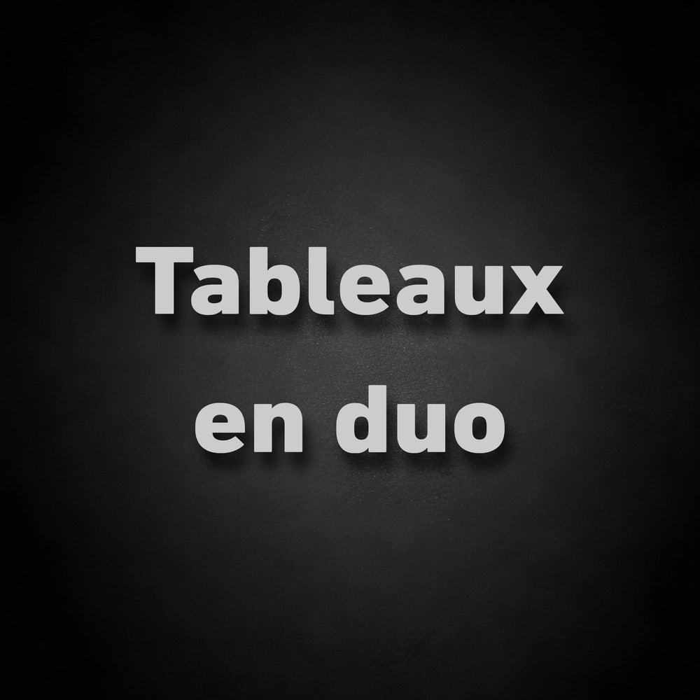 Collection Tableaux en Duo – L’Art en Face à Face