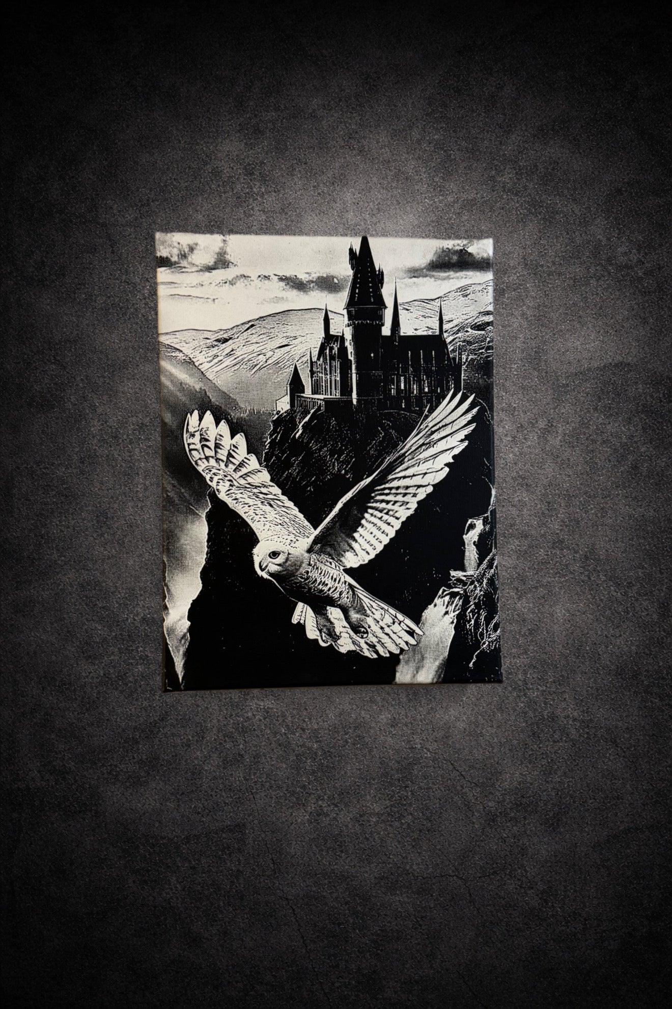 Tableau noir et blanc représentant un château magique et un hibou en plein vol