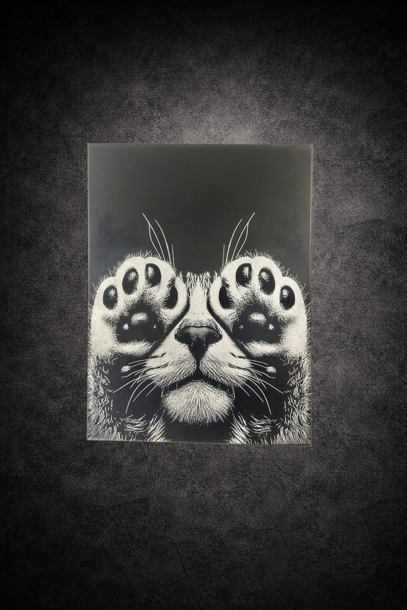 Tableau chat cache-cache noir et blanc 30x40 cm sur toile cadre en bois