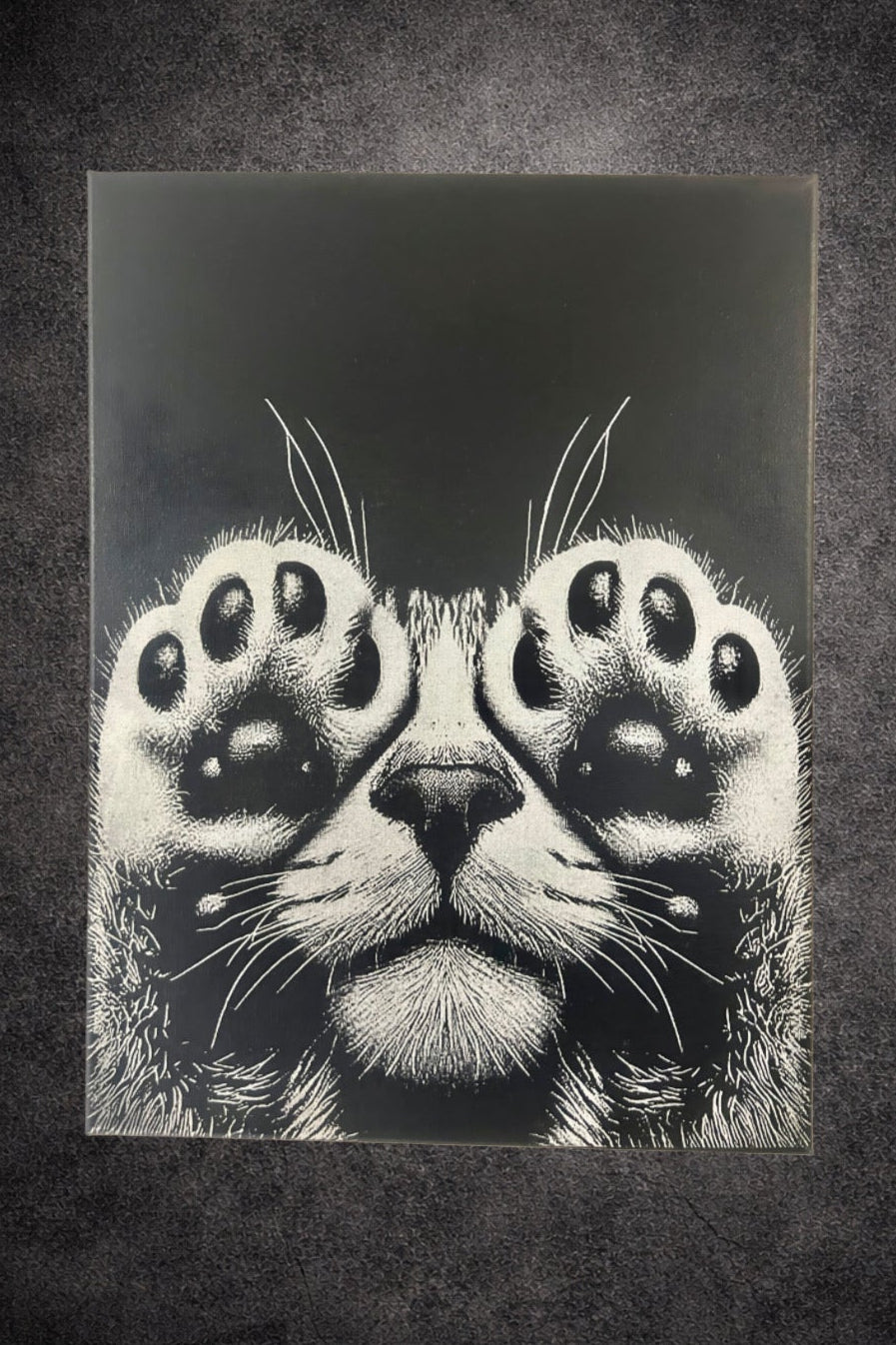 Tableau chat cache - cache pattes levées noir et blanc - style graphique - décoration murale - 30x40 cm - DesignRomArt