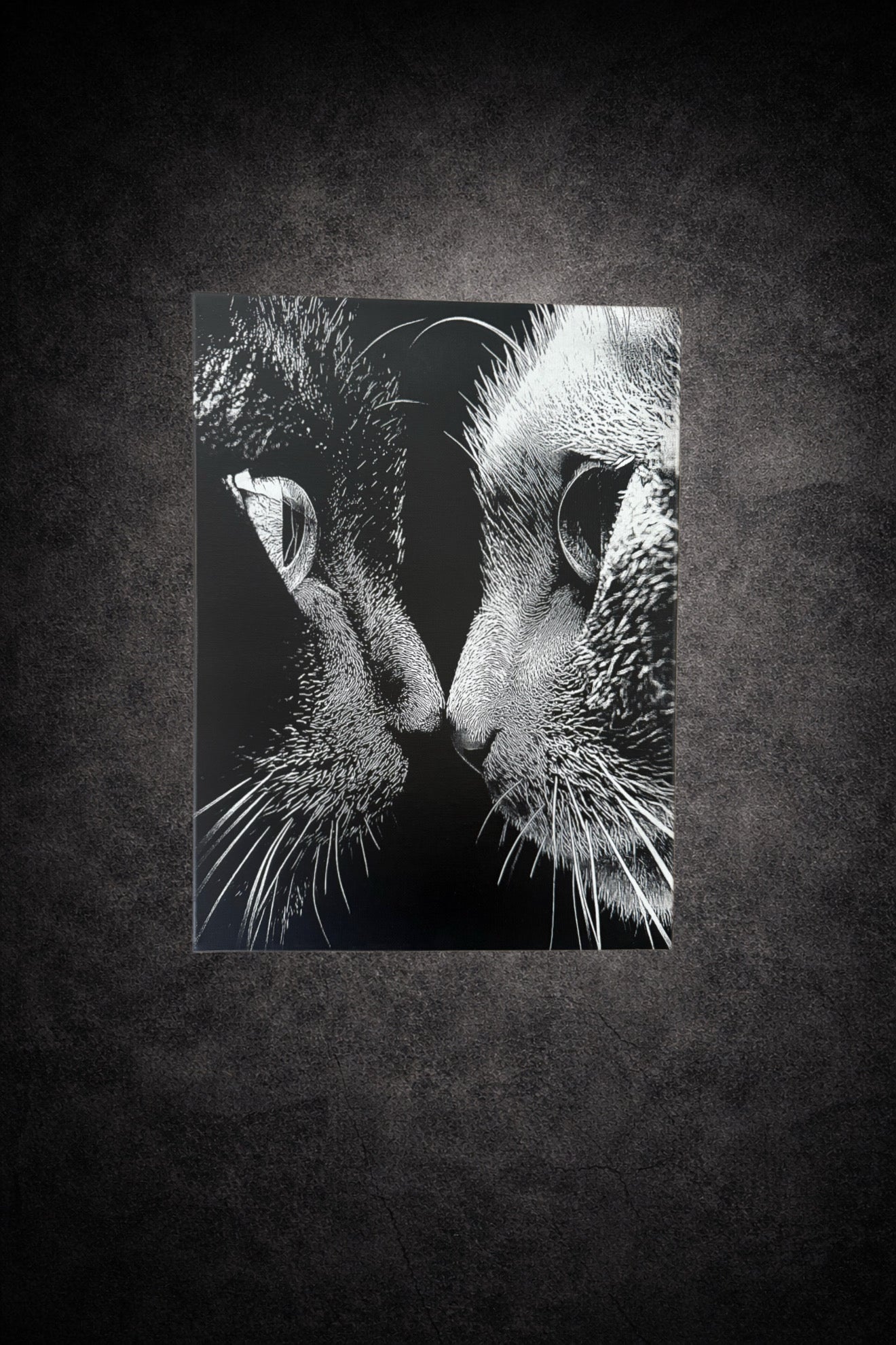 Tableau noir et blanc d’un visage de chat en gros plan avec regard intense