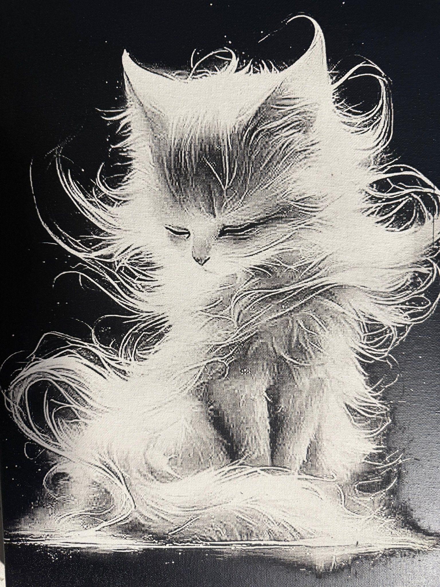 Tableau chat mystique poils flottants art noir et blanc décoration murale 30x40 cm - DesignRomArt