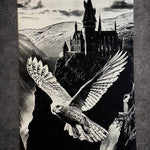 Tableau univers magie et sorcellerie noir et blanc – Décoration murale fantasy – Château mystique et hibou - DesignRomArt