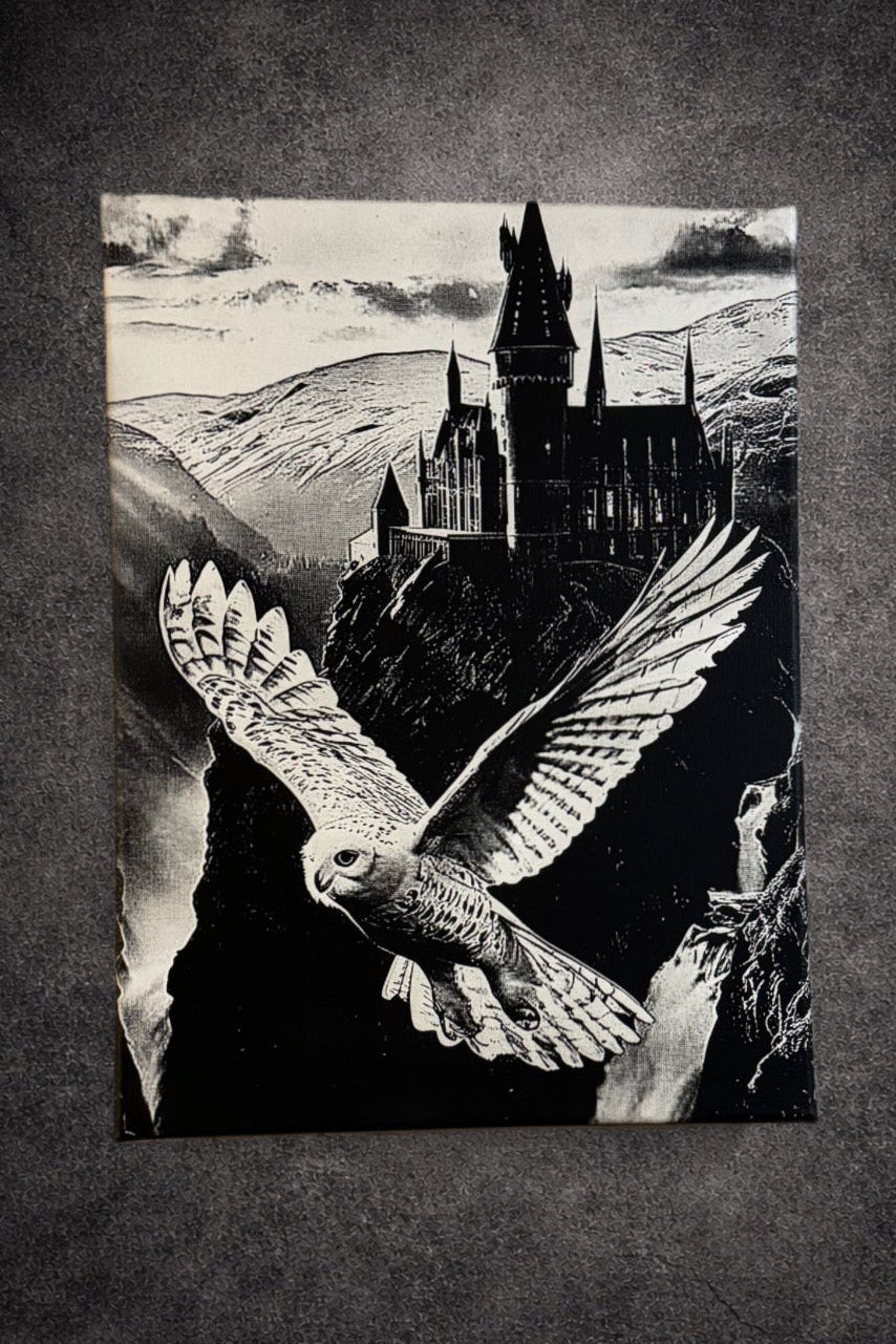 Tableau univers magie et sorcellerie noir et blanc – Décoration murale fantasy – Château mystique et hibou - DesignRomArt