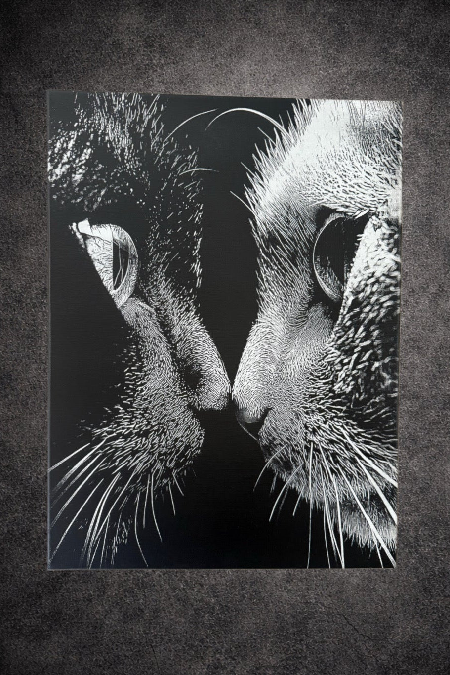 Tableau visage de chat en gros plan intense – décoration murale moderne noir et blanc 30x40 cm - DesignRomArt